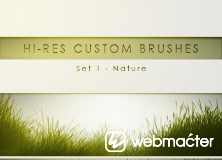 30 Hi-Res Custom Brushes - Nature