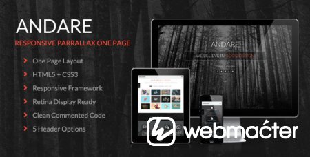 Andare - Parallax One Page Theme